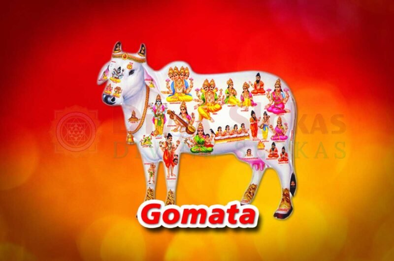 Importance of Performing and Supporting Goseva