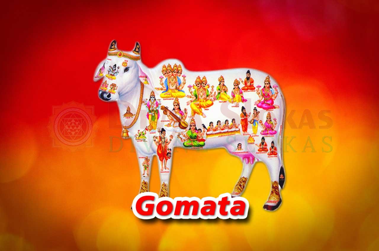 Gomata